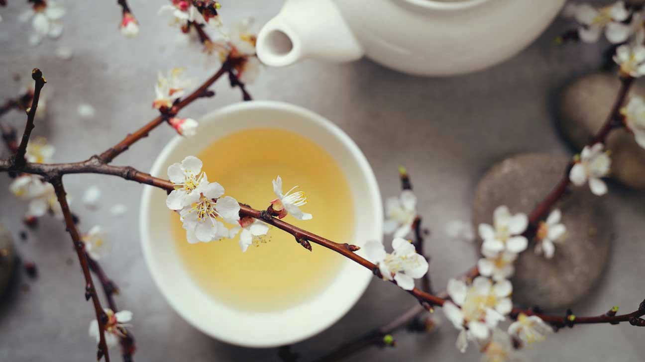 Bạch trà có hương vị vô cùng nhẹ nhàng và tinh tế